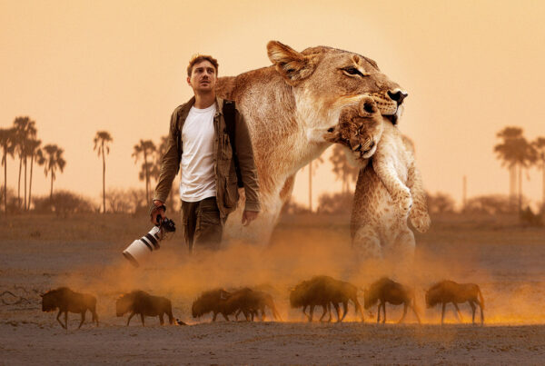 Les Lions du Désert ORANGE & WILD Mathieu Courdesses