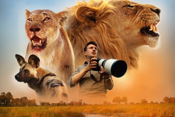 PRÉDATEURS GLADIATEURS - Mathieu Courdesses